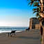 Les Palmiers Beach Boutique Hotel & Luxury Apartments