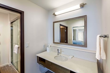 1 King Microwv/Fridge/Wet Bar Studio Suite Ns