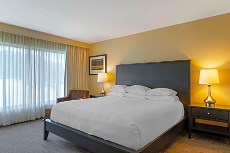 ACCESSIBLE - 1 KING,MOBILITY ACC,COMMASSIST,WALKSH,VIEW,NSM,CONTINENTAL BREAKFAST