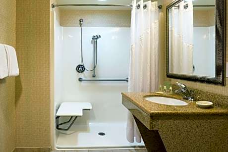 One-Bedroom Suite with Roll-In Shower - Mobility Accessible