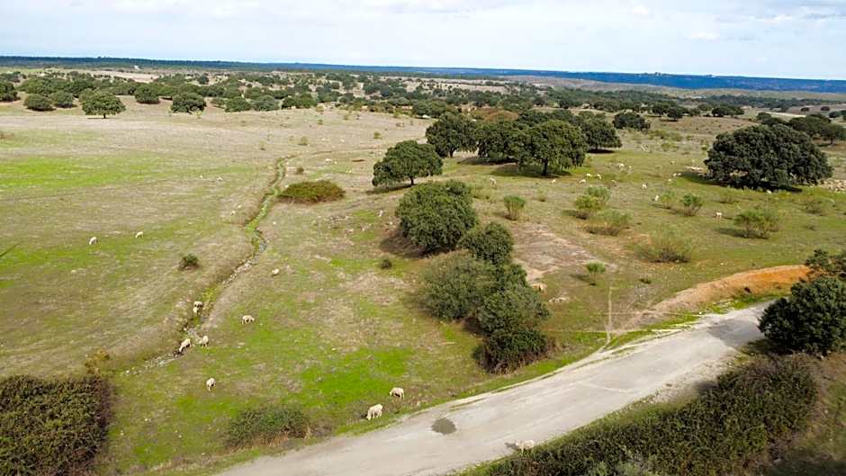 Herdade de Santo Isidro - Casa da Meada