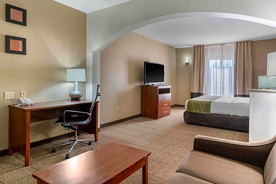 Comfort Inn & Suites Sacramento