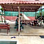 TamaHostel & Glamping