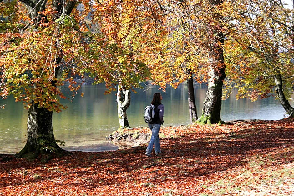 PRIVILLAGE Stare - B&B