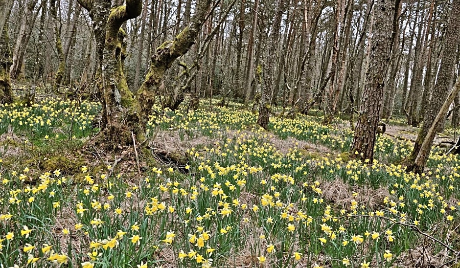 AUX PORTES D'AUBRAC studio 2 personnes