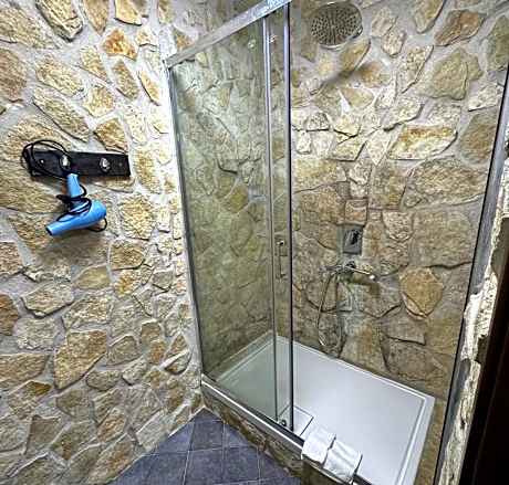 Deluxe Double or Twin Room with Pool Access