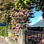 Seehotel Bären