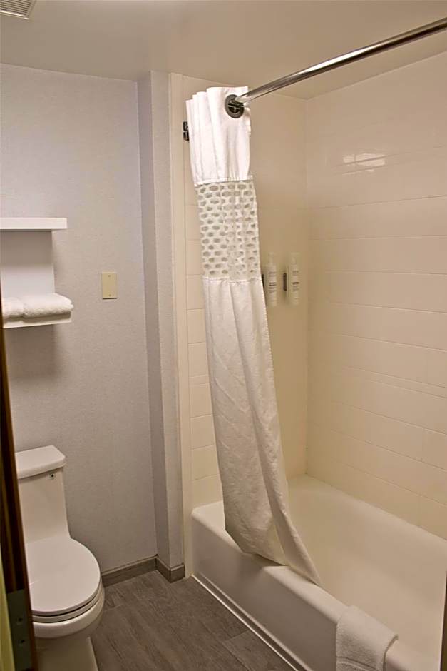 Hampton Inn By Hilton & Suites Denver-Speer Boulevard