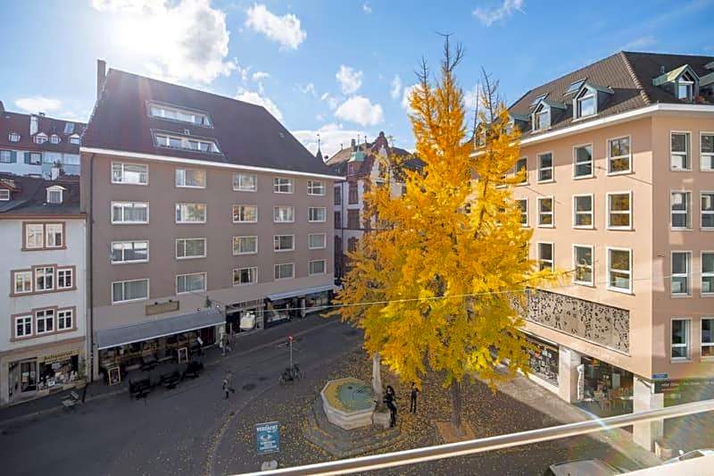 Apartmenthaus zum Trillen Basel City Center