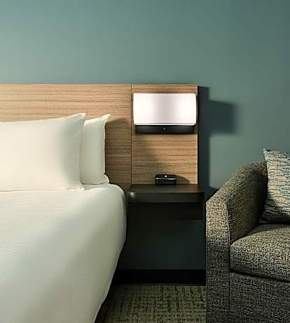 King Suite with Bathtub and Sofa Bed - Mobility Access