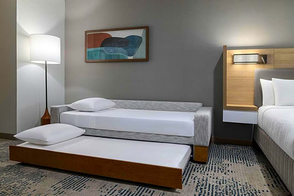 SpringHill Suites by Marriott Dallas Arlington North