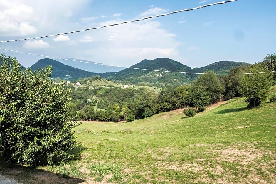 LA VIGNA FIORITA B&b