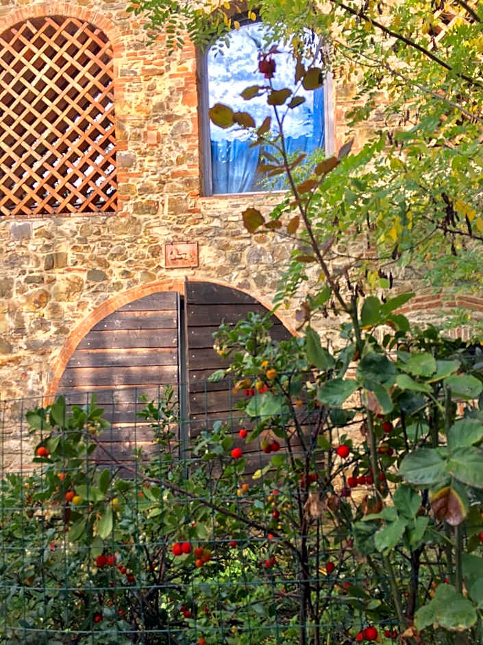 Il Paretaio