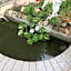 Apartment in villa 2 to 3 persons with large private garden