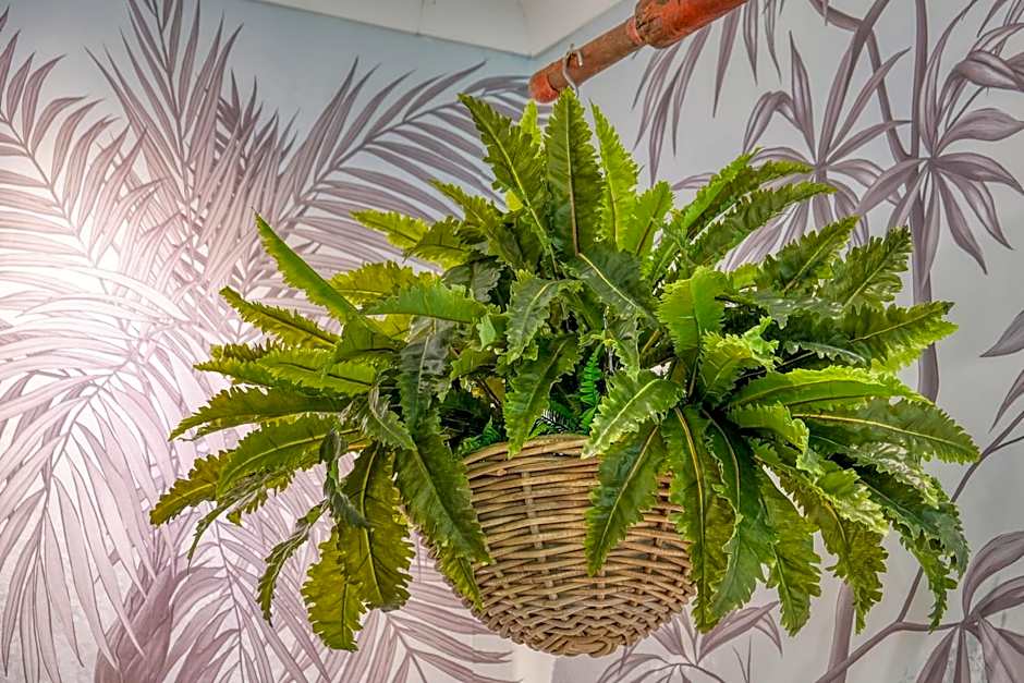 ackselhaus & blue Home