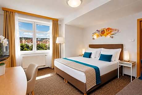 Standard Double or Twin Room with Wellness Access