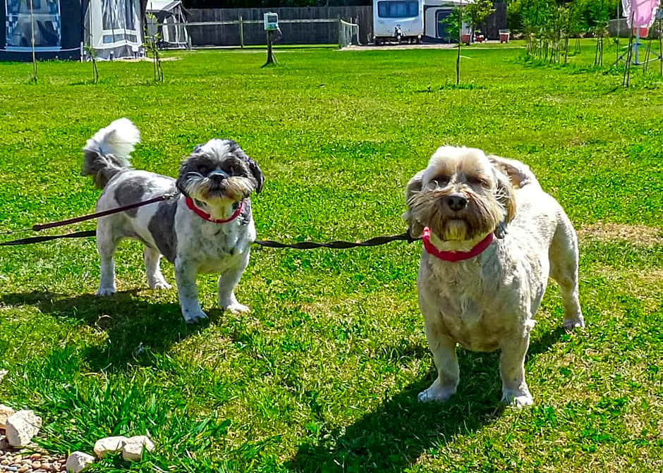 Stream Valley Holiday Park