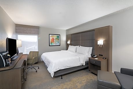 Premium Room, 1 King Bed, Microwave (Minifridge)