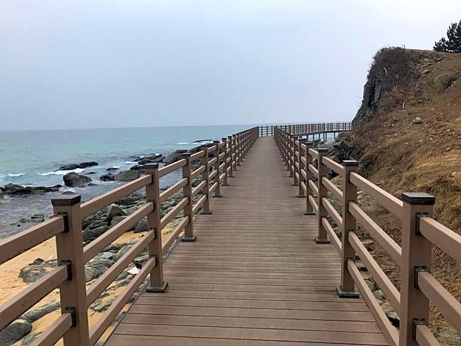 Blue Door Hostel Guesthouse