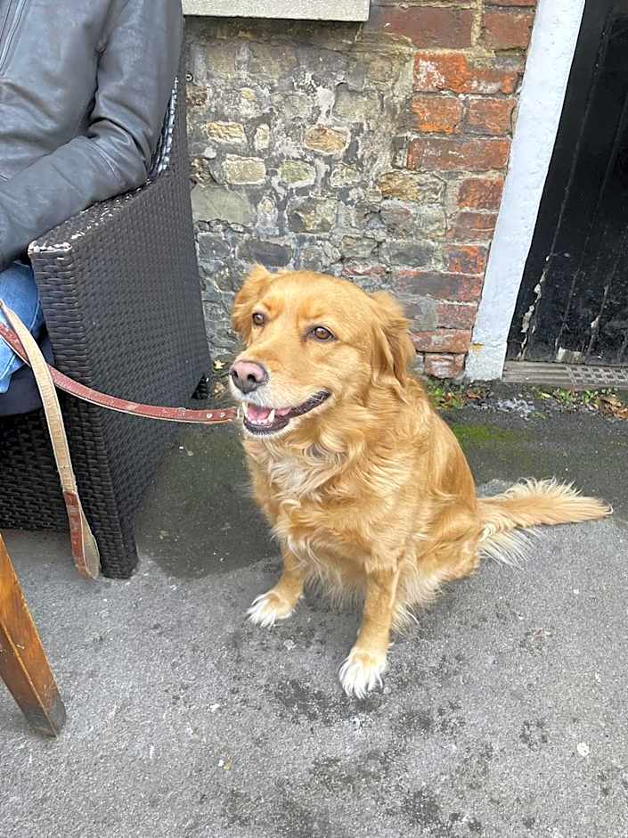 The Old Bell - Warminster