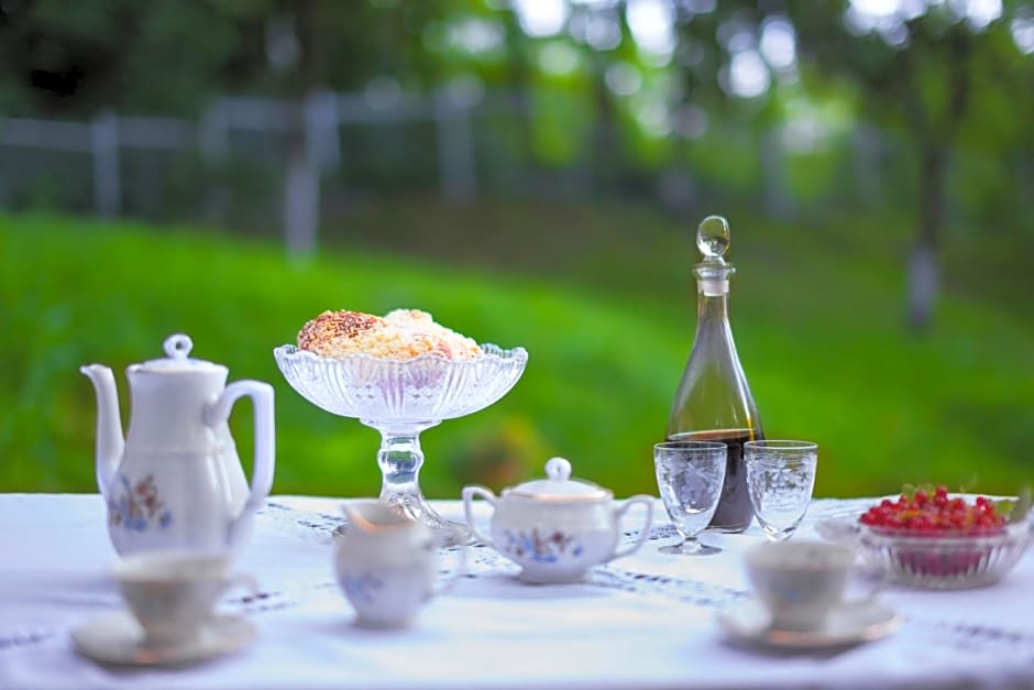 Willa Bona blisko Zamku Królewskiego i Rezerwatu zapraszam na grę miejską Magiczne Chęciny