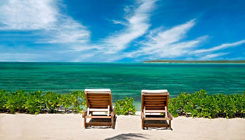 Tropical Attitude - Adults Only