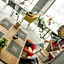 Boutique Rooms