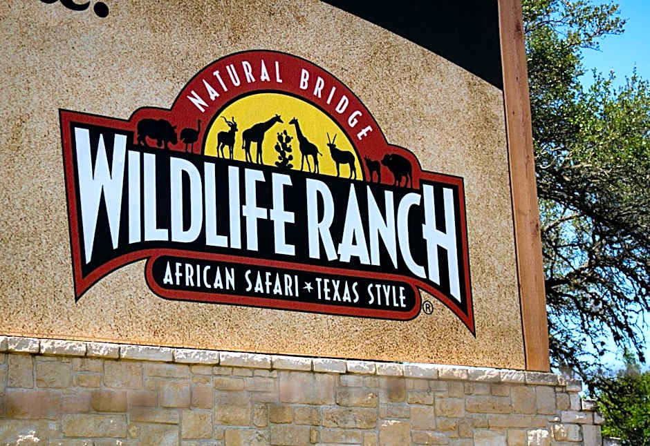 Staybridge Suites San Antonio - Schertz by IHG