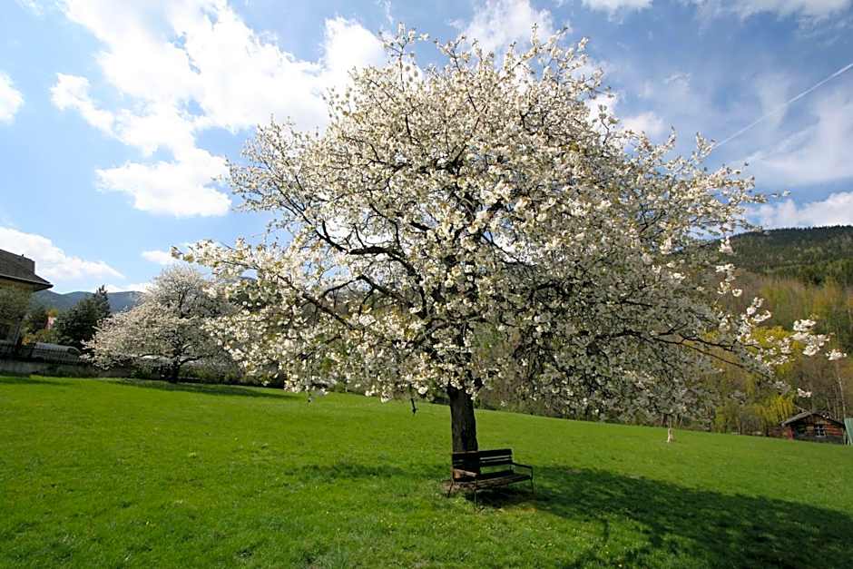 Scharfegger's Raxalpenhof - Zuhause am Land
