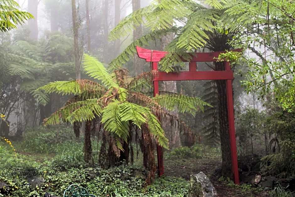 Tomah Retreat - Studio BREATHE with fireplace