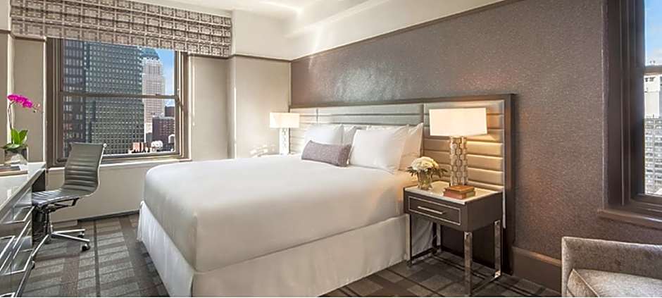Photo 1 of 3 of Classic 1 King Bed, Accessible, Grab Bars, Bathtub