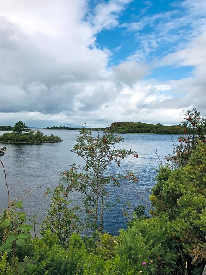 Hillcrest farmhouse Bed & Breakfast