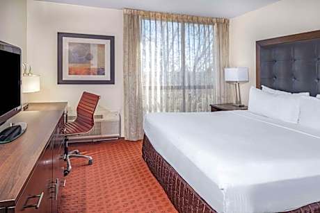 Junior King Suite - Non-Smoking