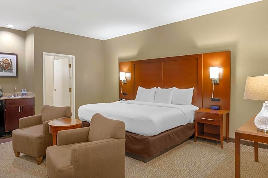 Comfort Inn Memphis Downtown