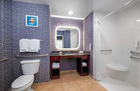 1King Mobility Access Ri Shwr Studio Nosmok