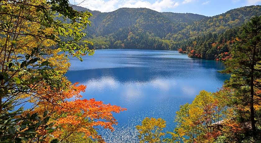 Shigakogen Olympic Hotel