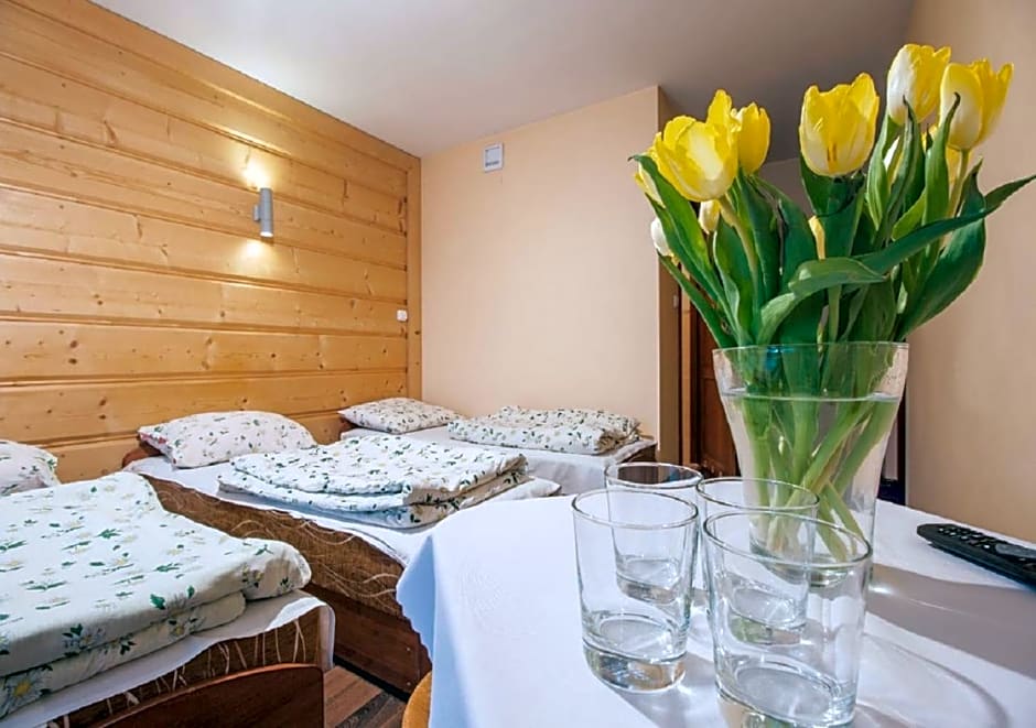 Apartamenty Willa Kamila Zakopane z Jacuzzi