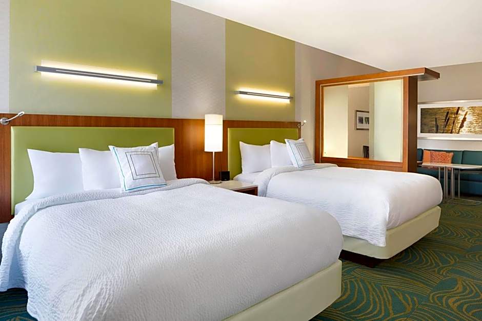 SpringHill Suites by Marriott Tuscaloosa