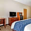 Comfort Inn Downtown - University Area