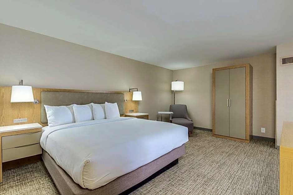 Photo 1 of 6 of Deluxe 1 King Bed with Sofabed Suite