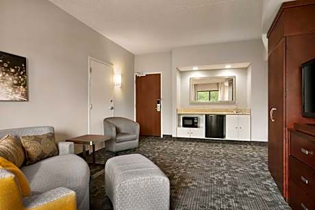 One-Bedroom King Suite with Sofa Bed
