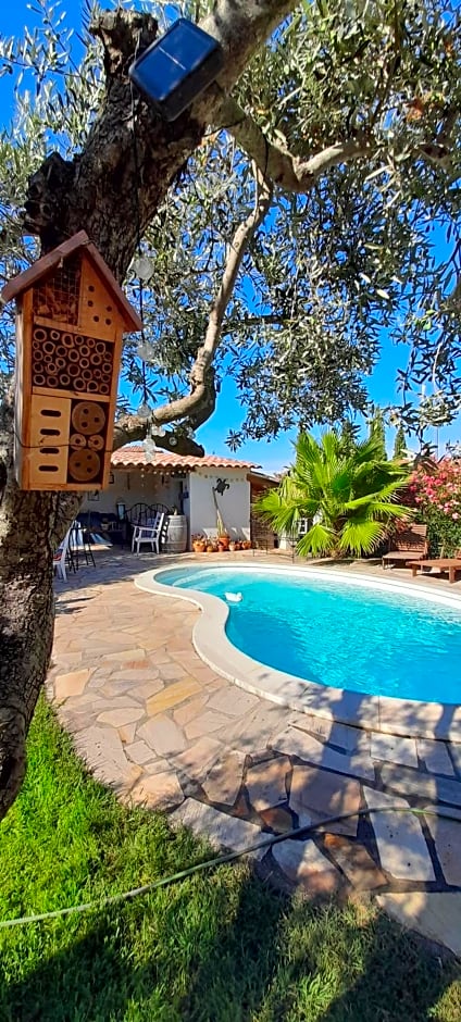 Cocon Provençal - T1 25m2 - SdB - Terrasse privée & Accès Piscine à Saint Chamas