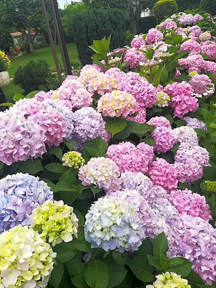 Apartmani Villa Otilija