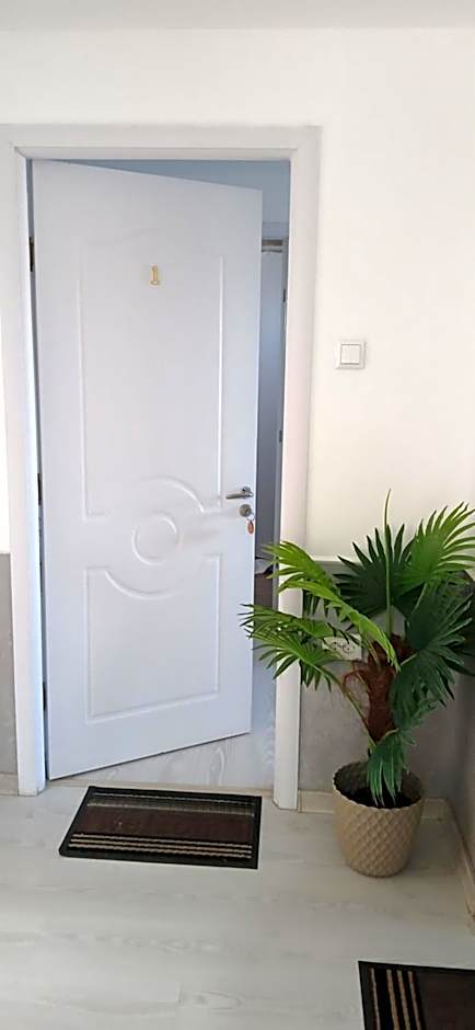 Cazare de Vis 3 stele