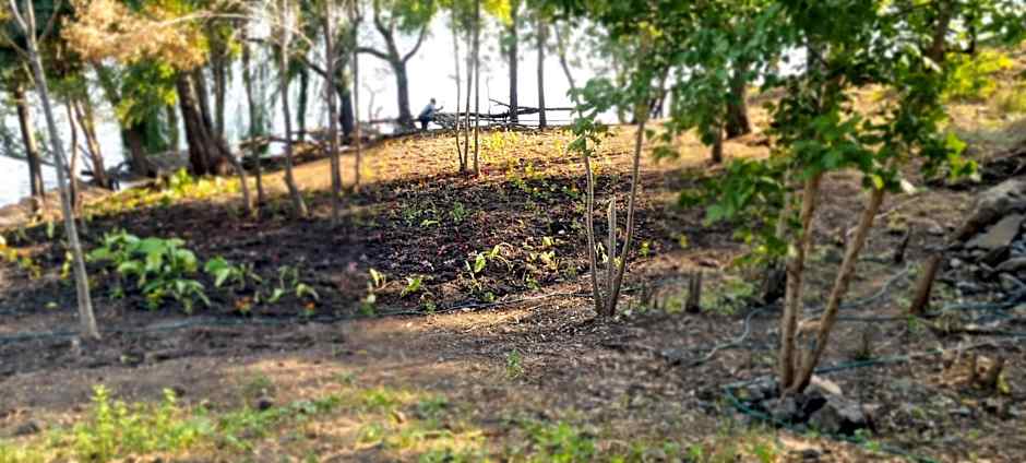 Emufuleni river logde