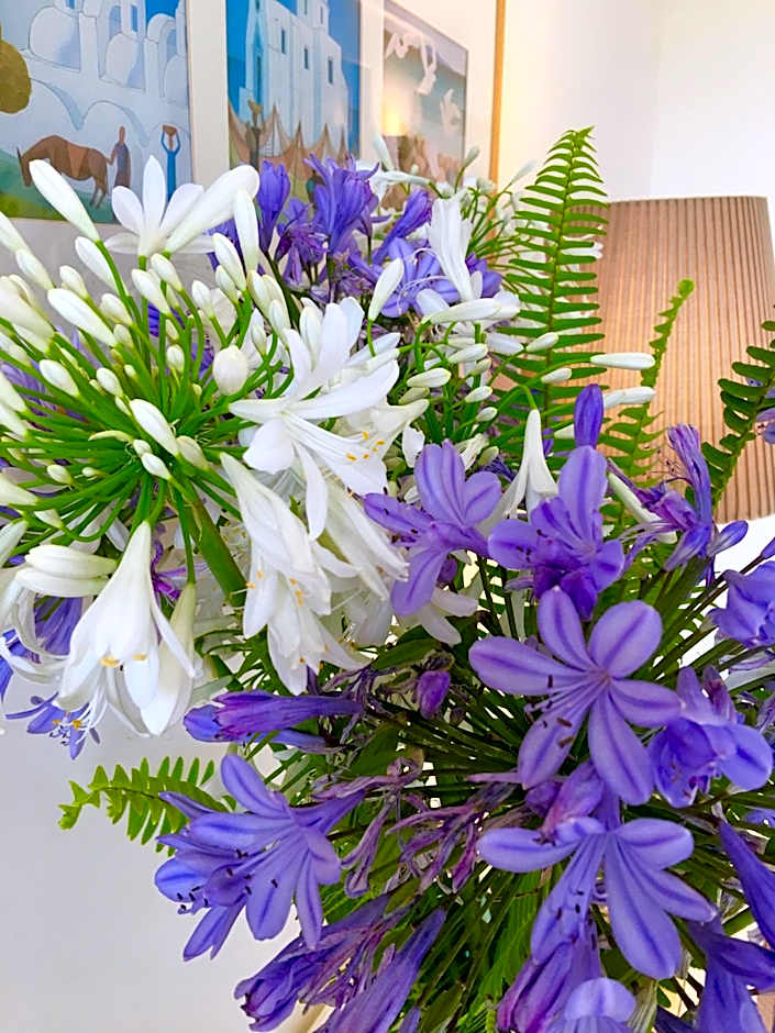 Agapanto Luxury Accommodation