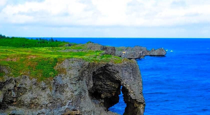 HOTEL Palm Tree Hill