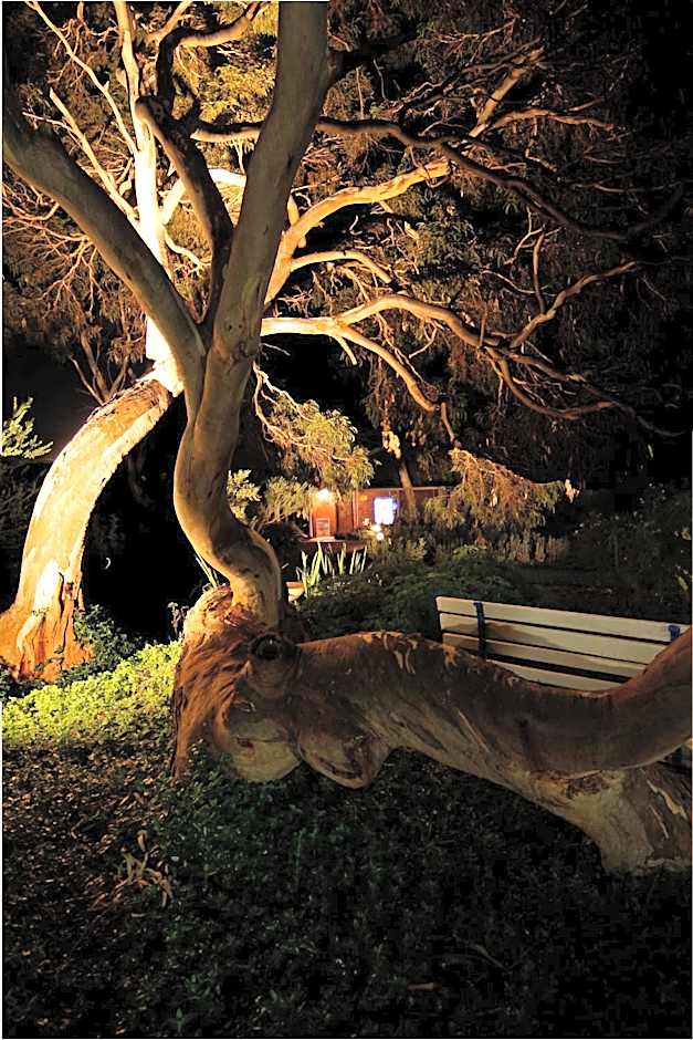 Cape Jervis Holiday Units