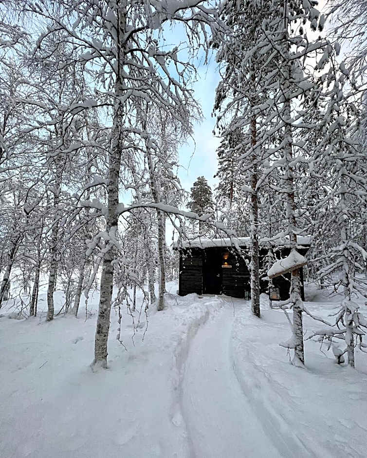 Skyfire Village Igloos