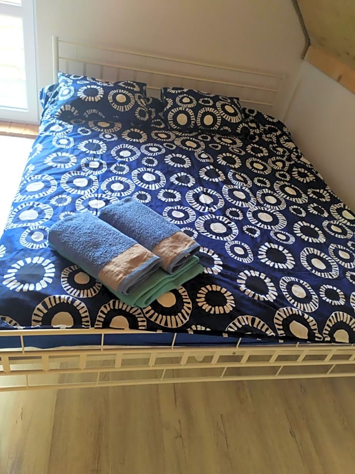 Niezapominajka Kopalino